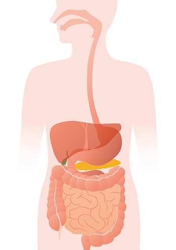Nutriția în patologia digestivă